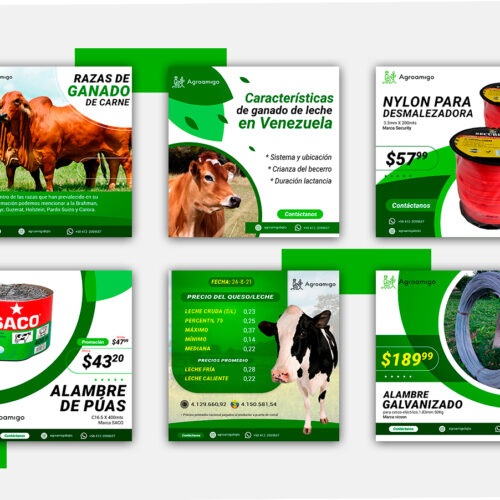 Agroamigo